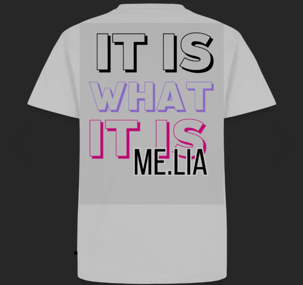 T-Shirt Premium-Shirt Männer|Frauen| Fit #47 whatIS