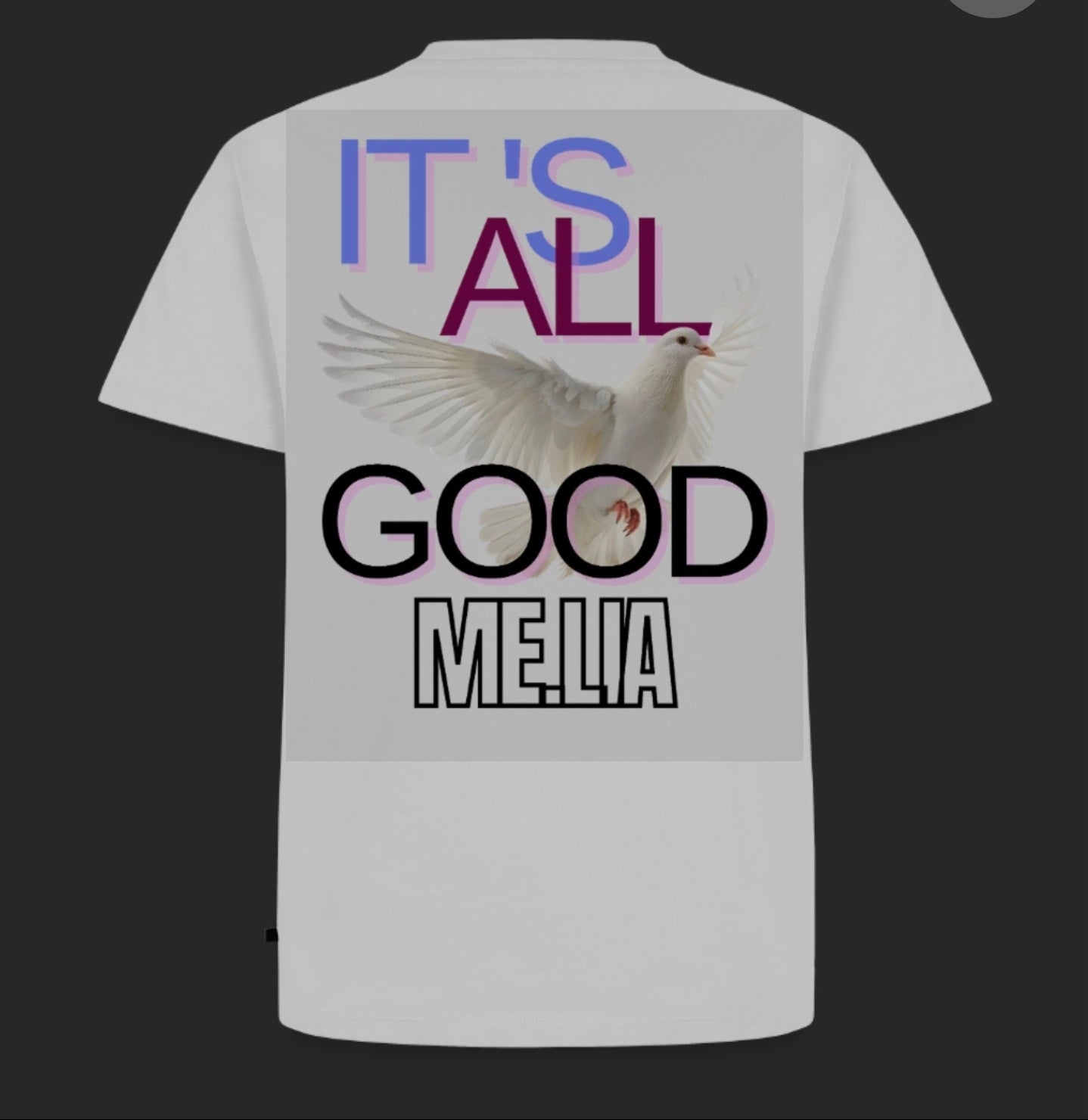 T-Shirt Premium-Shirt Männer|Frauen| Fit #58 Allgood